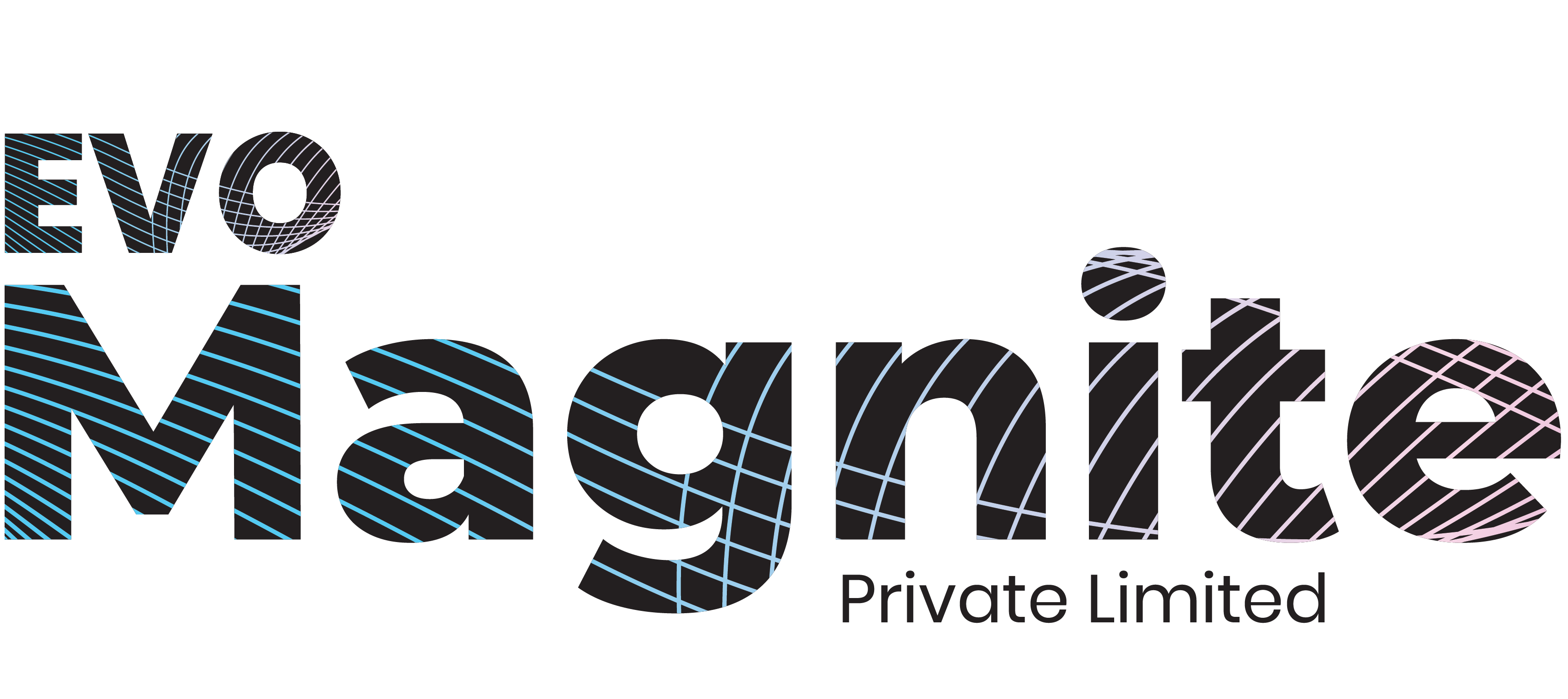 Evo Magnite Logo