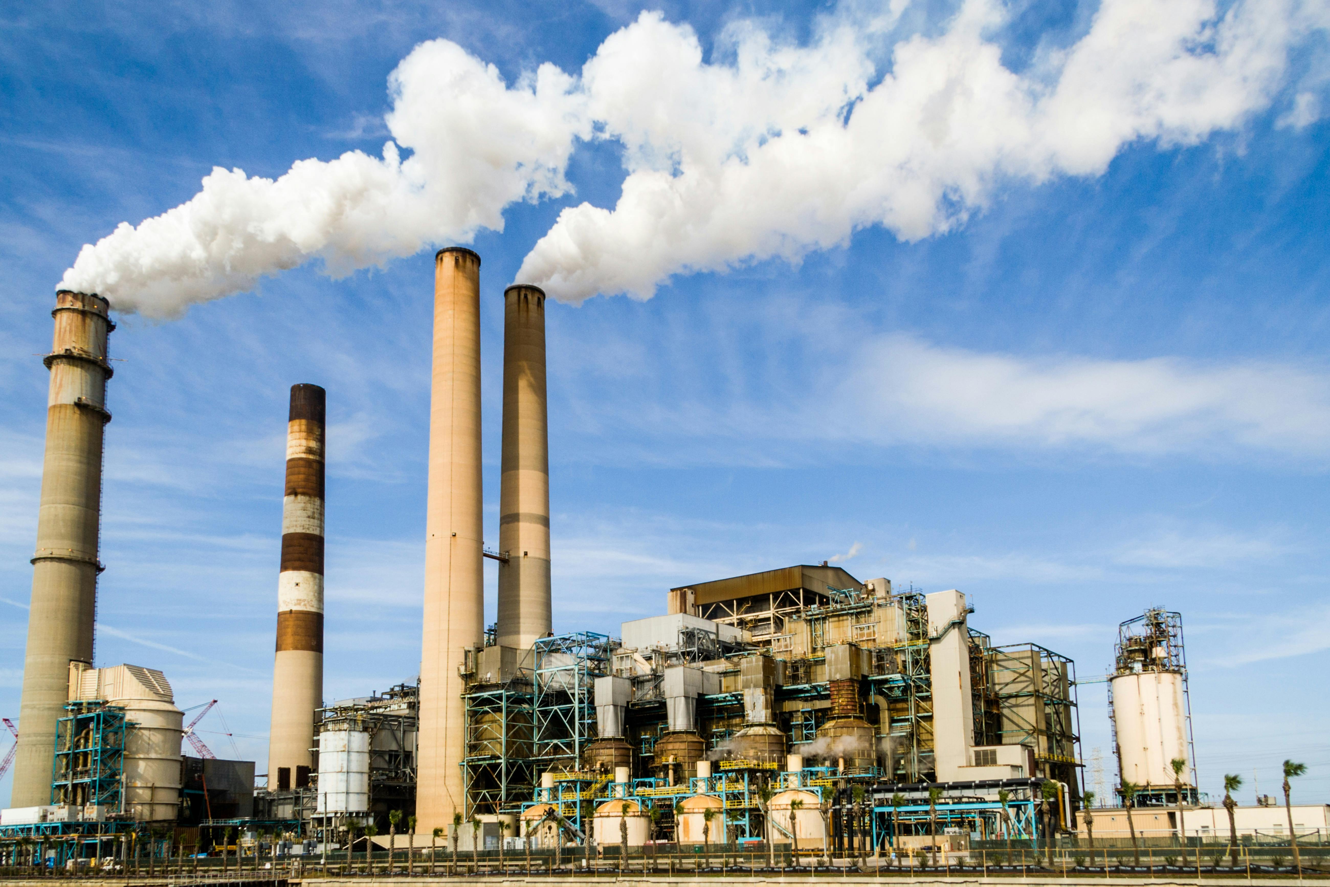 Biomass Pellets: A Sustainable Solution for Industrial Energy and Cleaner Air